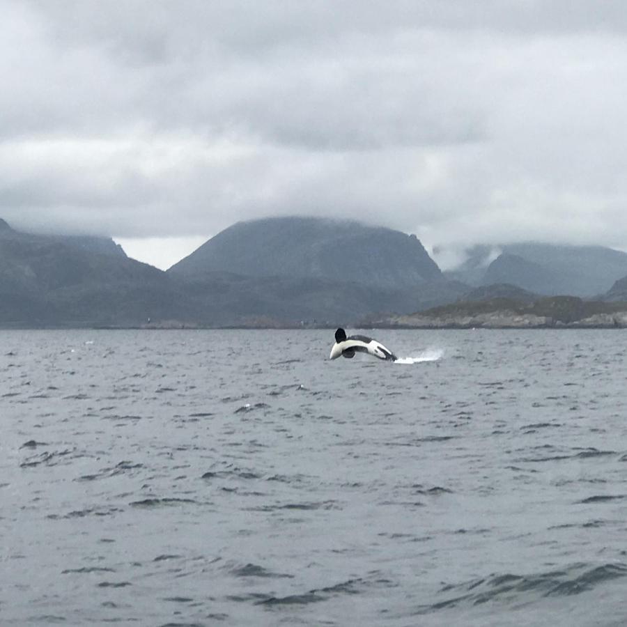 Fishermans Rorbu 2 - Lofoten رامبيرغ المظهر الخارجي الصورة